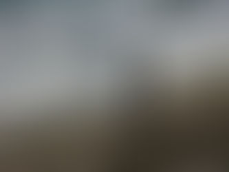 Любителският риболов в Черно море вече ще се осъществява само с валиден риболовен билет