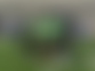 Vikings and Patriots prep Special Olympics athletes competing in the 2026 USA Games in the Twin Cities 