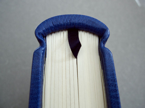 The book has blank pages throughout and a blue place-marker ribbon. The leather end-caps are shaped by hand.