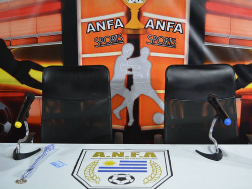 REUNION de DELEGADOS del “METROPOLITANO” serà en la SEDE de ANFA el MIERCOL