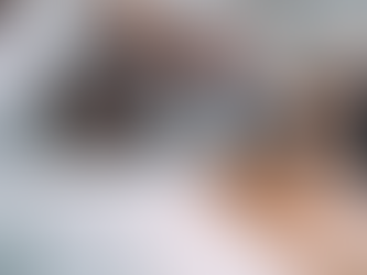 What is the Whole Abdomen Ultrasound Price in Chandigarh?