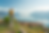 Swiss Riviera – above Montreux