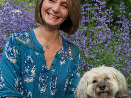 My Author Friend: Heather Pierce Stigall