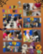 萬聖節派對回顧