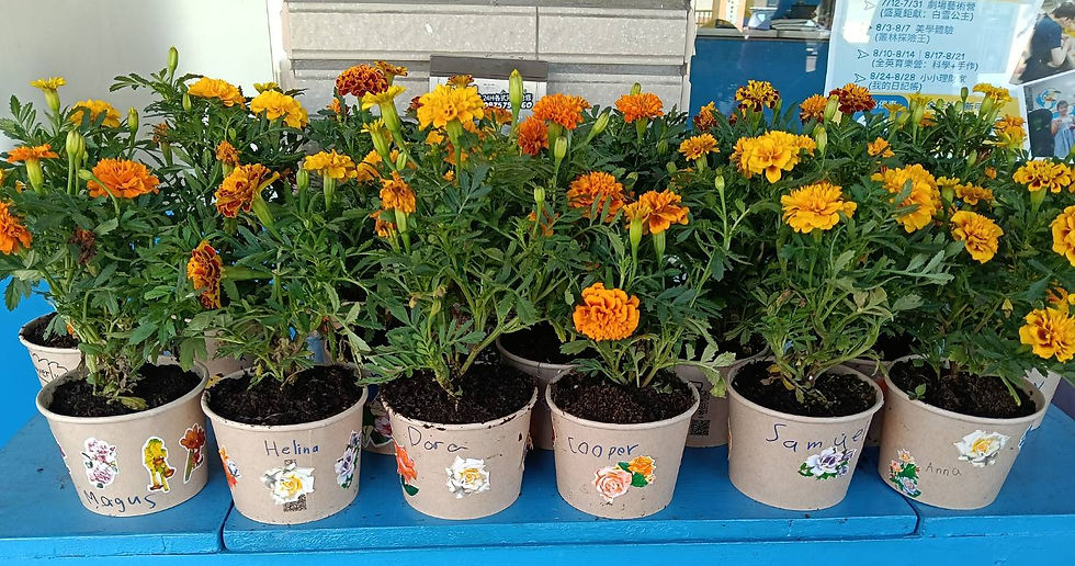 母親節花藝活動