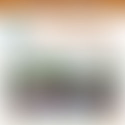 🍂🦃 右昌全能外語感恩節學習與歡樂雙重奏，讓孩子快樂學英文！🍂🦃