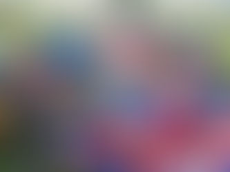 讓孩子在快樂中提升語言能力,為未來奠定堅實基礎!