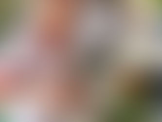 全能新甲│手作花藝 ◆ 點亮母親節驚喜