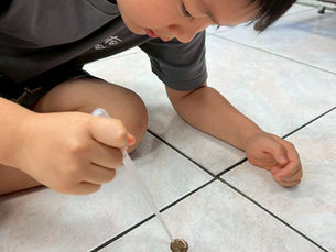 全能外語屏東分校有趣的英文科學營