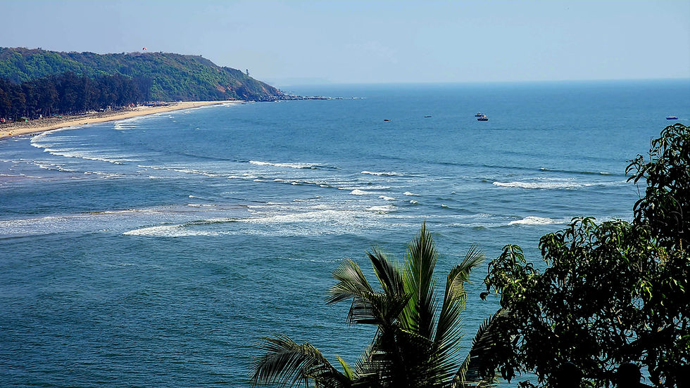 החופים השקטים של גואה - חוף ים שקט עם גלים קטנים, עצי דקל וברקע חורשה ירוקה. השמים בהירים וסירות קטנות מנוקדות בים הנראה עד האופק.