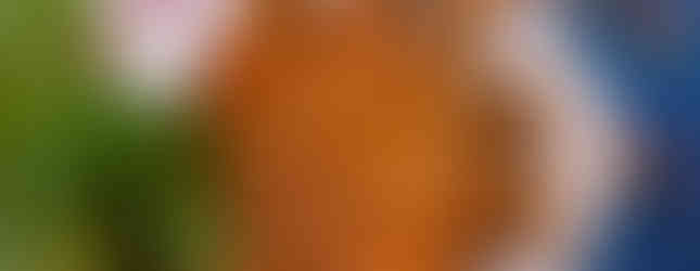 Ankara'da taze balık nerede yenir? Kepos Balık Evi ızgara levrek, çipura, lüfer ve mevsim balıkları.