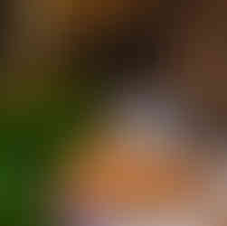 Ankara'da taze balık nerede yenir? Kepos Balık Evi ızgara levrek, çipura, lüfer ve mevsim balıkları.