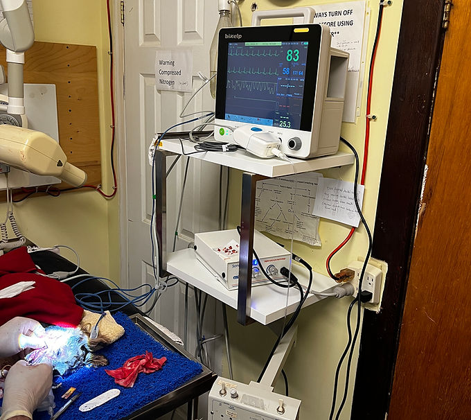 Bizelp ZM-12M Veterinary Monitor