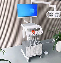 Bizelp ZD-200 Veterinary Dental Unit