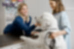 Two women smiling at a vet clinic counter. One woman strokes a large white dog. Shelves with pet supplies and a "bizelp" logo in the background.