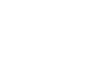 TIKTOK.png