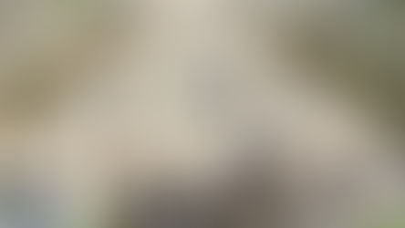 Armenia - Small but perfectly formed