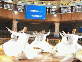 Turkey - Part 8 - Having a Whirl