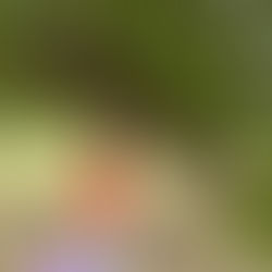 【身体のアンチエイジング始めませんか🌱】