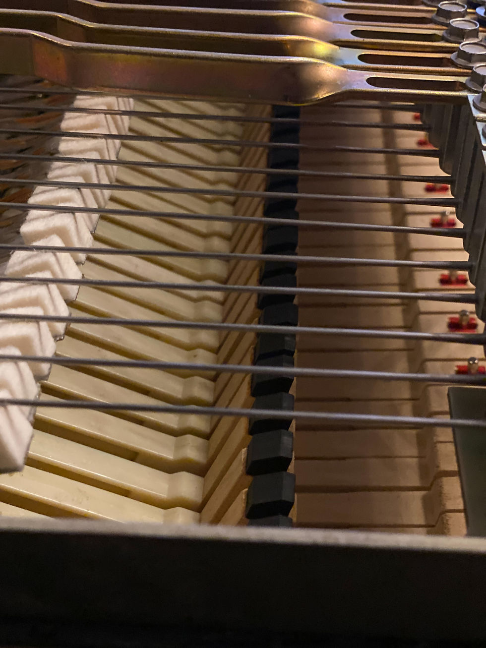Miniature : Fender Rhodes MK1 Stage 88 