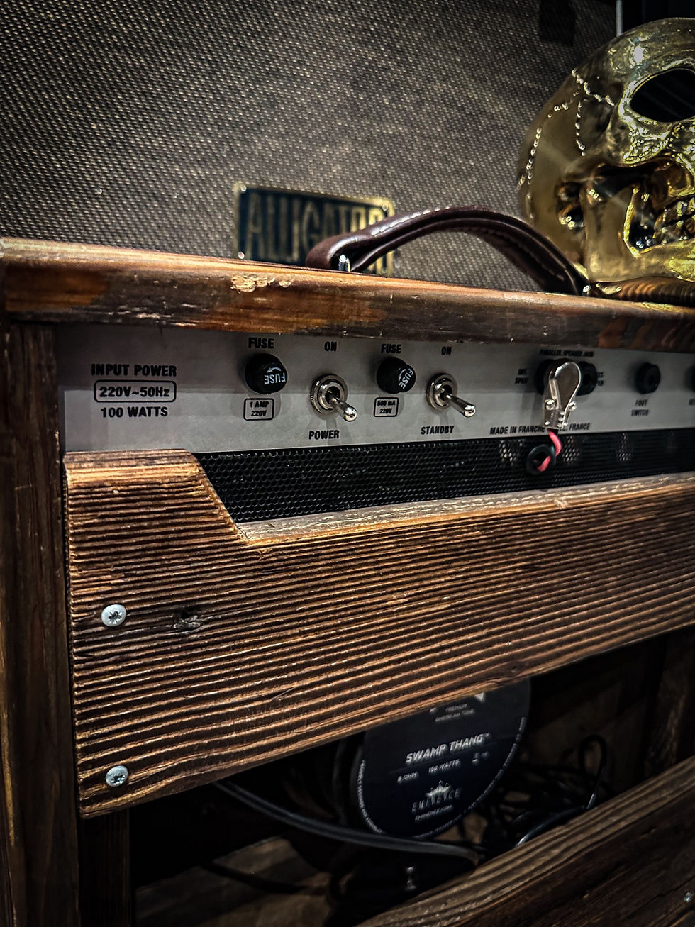 Miniature : Valdam audio Gulia 22w