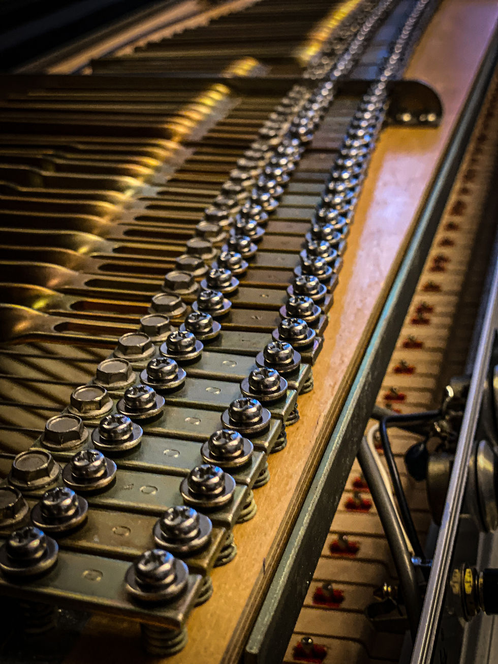 Miniature : Fender Rhodes MK1 Stage 88 