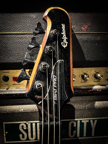 Epiphone T Bird Pro thunderbird | Alligator-amps new
