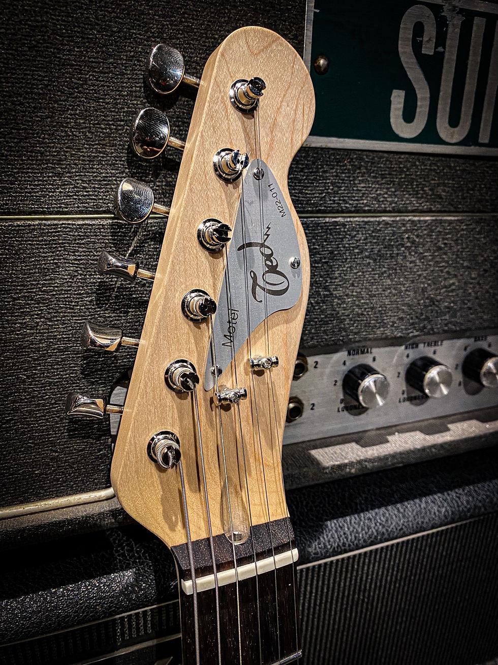 Thumbnail: Ted Guitars Motel telecaster 