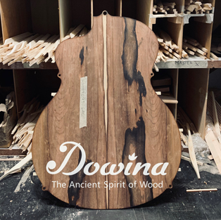 DOWINA