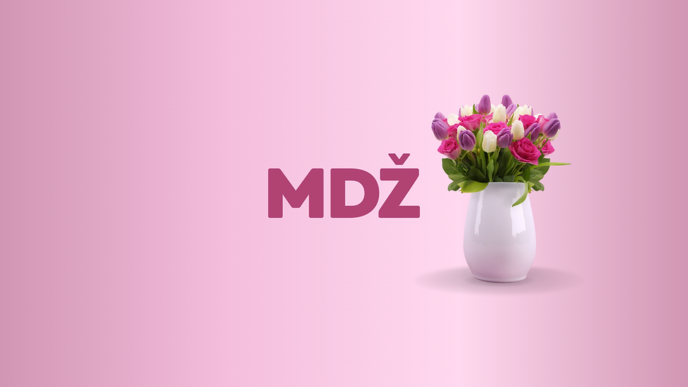 MDZ_1920x1080px_2.png