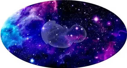Embryo Universum.webp