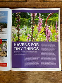 "Havens for Tiny Things" by Gini Denison-Pender explaining how to create gardens in which invertebrates will thrive