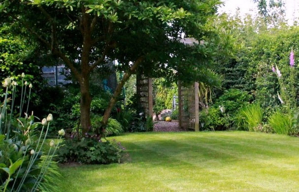 Magnolia set into the lawn, with foxgloves and Allium spaerocephalon. A handmade arch constructed from leftover playground timbers leads into the trampoline "room"