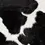 Miniatura: Cowhide Rug