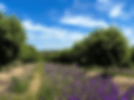IMGs-gif-2024.gif