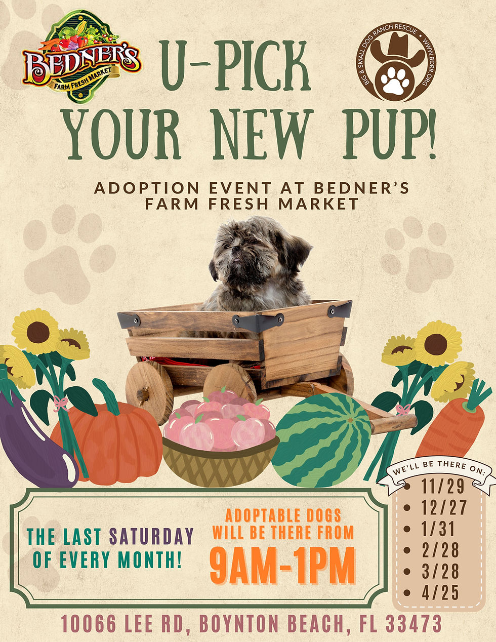 U-Pick Your New Pup!