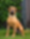 41C0C448-CD0E-4204-B94B-86D85A0CF1EF.PNG