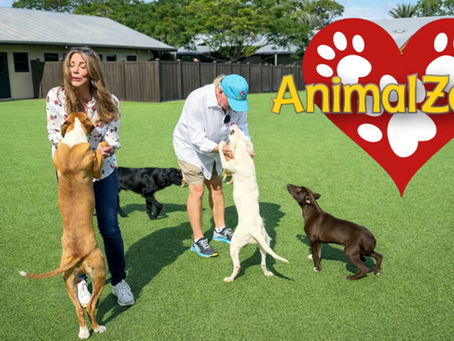Animal Zone - Big Hearts for Big Dogs