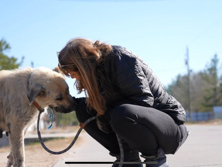 TEXAS BORDER DOG NIGHTMARE