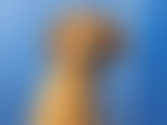 Not many chips have taken a journey quite like our beloved Dorito.