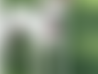 Tiny Tim’s BIG Transformation