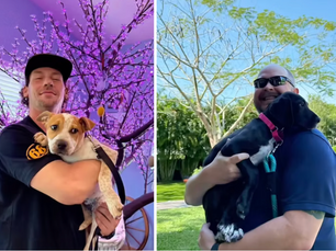 To the Dog Dads Who Make a Difference