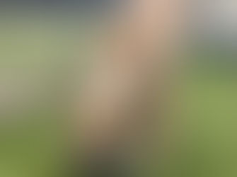 When Love Found Lovebug