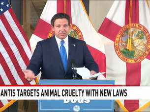 Governor DeSantis signs two Animal Rights Bills at Big Dog Ranch Rescue