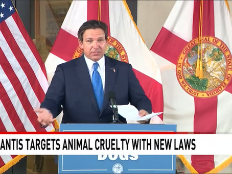Governor DeSantis signs two Animal Rights Bills at Big Dog Ranch Rescue