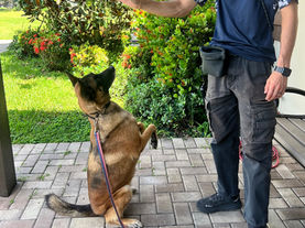 Mia's Mission to Start a New Chapter