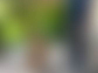 Mia's Mission to Start a New Chapter