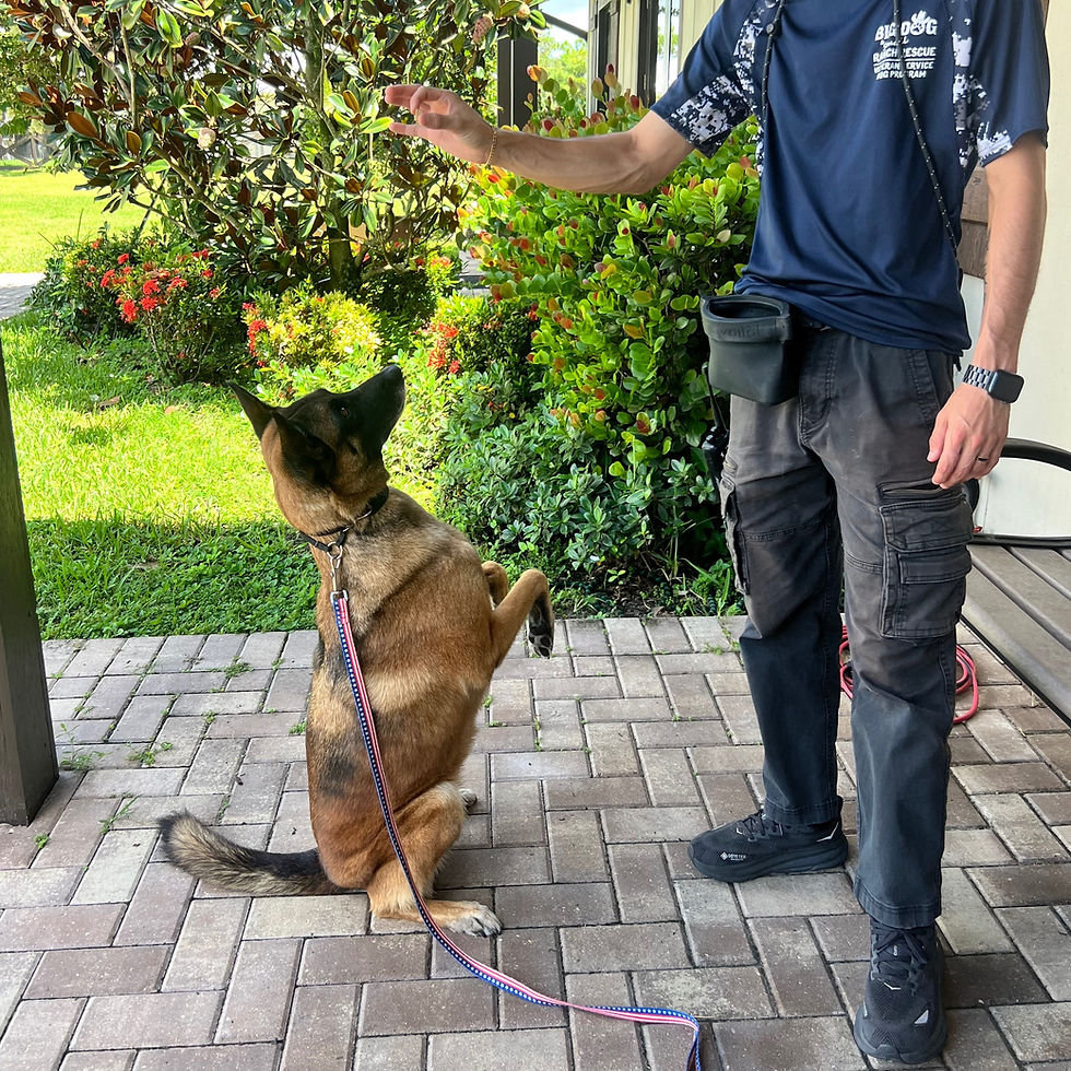 Mia's Mission to Start a New Chapter