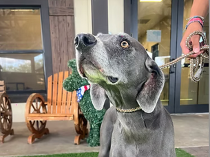 A Soulmate Named Sky