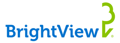 image-10.png